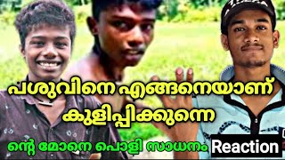 എങ്ങനെയാണ് ഒരു പശുവിനെ കുളിപ്പിക്കുന്നത് | Aromal | Aromal ar | ting ting machan|malayalam reaction