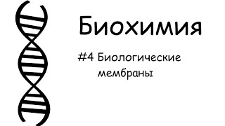 #4_Биологические мембраны