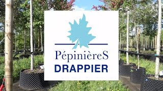 A la découverte des Pépinières Drappier