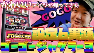 【設定6】新台 ゴーゴージャグラー3を打ってきた！ ゴージャグ3