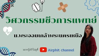 วิศวกรรมชีวการแพทย์  พระจอมเกล้าพระนครเหนือ [Airphit channel :Ep20]