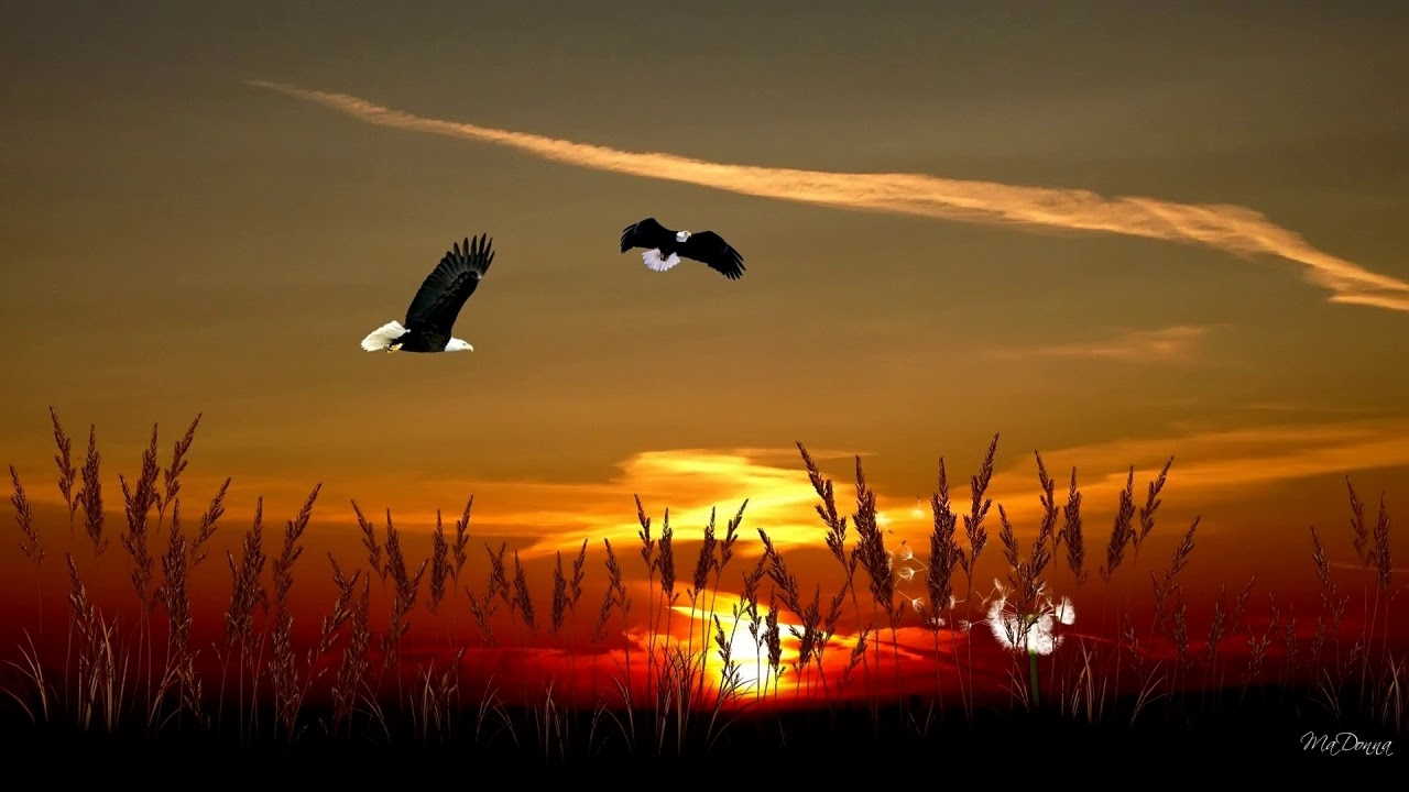 Tonepoet Drops Of Wonder Youtube Music