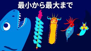 海の奥深さを思い知らされる海の生き物50+選