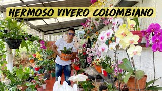 HERMOSO VIVERO COLOMBIANO DE ORQUÍDEAS 😲🇨🇴