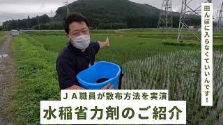 水稲省力剤のご紹介！