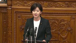 🔴Ｌｉｖｅ 参議院  本会議「首相給与増額法」可決・成立へ（2023年11月17日）#国会中継