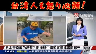 【へずまりゅう台湾TV特集】奈良公園の鹿虐待に台湾人も激怒！中国人観光客のマナー問題に厳しい反応