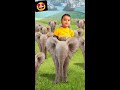 hathi raja🤩 shorts viral