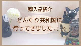 《購入品紹介》どんぐり共和国に行ってきました‪𓂃 𓈒𓏸《ジブリ》