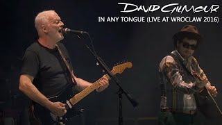 David Gilmour - In Any Tongue (Live at Wroclaw 2016)