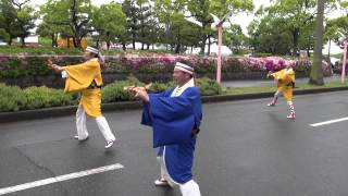 しばてん隊（よさこい夢まつり2015）本祭一日目