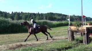 Jármy Tibor - Tóbanjáró - CCI*  - Nagykanizsa 2016