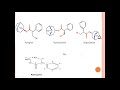 biogenesis of tropane alkaloid