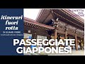 PASSEGGIATE GIAPPONESI: Seiryū Jinja a Urayasu (93)