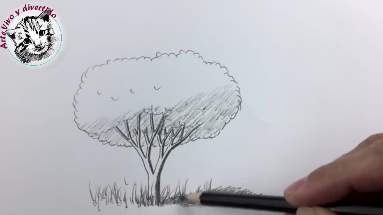 Dibujos Para Dibujar Realistas Faciles