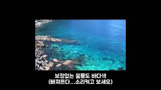 보정없는 울릉도 바다색 #shorts 소리켜고 보세요