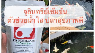 จุลินทรีย์บ่อปลา Tn Fresh Bac สูตรเข้มข้นตัวช่วยน้ำใสปลาสุขภาพดี