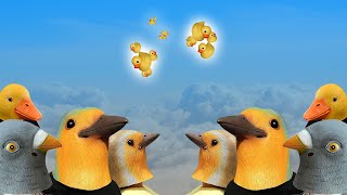 Building Boids in Unity 3D