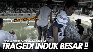 BABON BESAR MAKAN TELAK JADI PUSAT PERHATIAN !! KAIL KECIL SUPER KUAT BIKIN SEMUA HERAN || Am#546