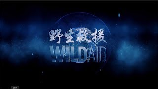 WildAid Taiwan 2019【世界無翅宣言】企業家公益短片