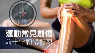 運動常見創傷  前十字韌帶撕裂 | 聯匯專科中心Specialists Central