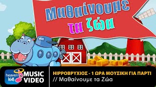 Μαθαίνουμε τα Ζώα – 1 Ώρα Μουσική Για Πάρτι | Hippoβρύχιος