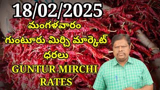 18 February 2025 GUNTUR MIRCHI MARKET RATES గుంటూరు మిర్చి మార్కెట్ ధరలు