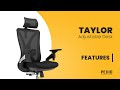 Ergonomic Office Chair - Taylor