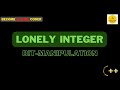 Lonely Integer || Bit-Manipulation (Easy - 01) || Explained Solution