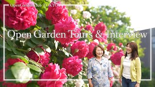 Rose-growing Master and Her Beautiful Garden with Marked Contrast between Light and Shade (Tokyo,JP)