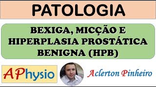 Bexiga, Micção e Hiperplasia Prostática benigna (HPB)