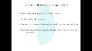 Webinar “Cognitive Behaviour Therapy CBT and Bipolar Disorder” with Dr. Nasreen Khatri