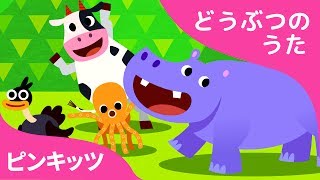 どうぶつごっこ | Animal Action | どうぶつのうた | ピンキッツ童謡