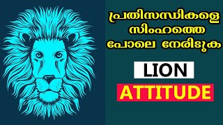 സിംഹത്തിന്റെ ഈ Attitude ജീവിതത്തിൽ പകർത്തിയാൽ 100% വിജയം ഉറപ്പ് | Lions Attitude | Motivation