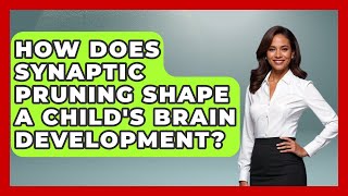 How Does Synaptic Pruning Shape A Child's Brain Development? - Brain Development Hub