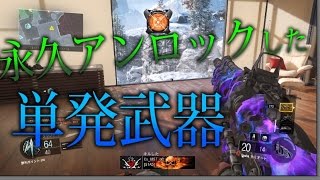 【BO3 実況】 奈々様ファンが行く久々の単発武器とハチ達！ part 61  ドミネーション【ななか】