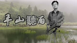 半山聽雨 半山听雨（Listening to rain in  the mountainside）薩克斯風 Cover by Jrsax