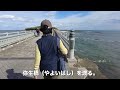 青島 宮崎県宮崎市【ウォーキング】青島駅東口駐車場〜青島参道南広場〜弥生橋〜青島神社〜元宮【旅行vlog 4k】鬼の洗濯板 トゥクトゥク 隆起波食台 真砂島 海積神社 御成道 神話 海幸彦 山幸彦