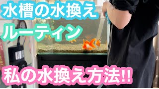 【金魚 水換え方法】水槽の水換えルーティン‼︎【私の水換え方法】