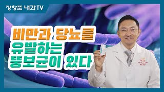 제101강:비만과 당뇨를 유발하는 뚱보균이 있다