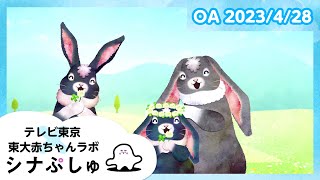 【赤ちゃんが喜ぶ】シナぷしゅ公式23/04/28│テレビ東京ｘ東大赤ちゃんラボ│赤ちゃんが泣き止む・知育の動画