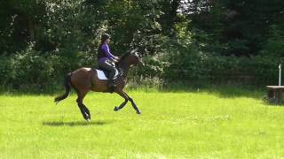 18.06.17 Storm, Parwood XC schooling