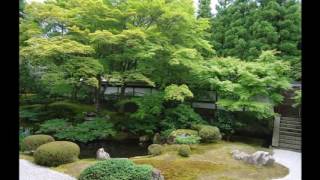 京都の新緑庭園　泉涌寺