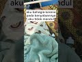 suami alasannya bolang aku mandul drama viral