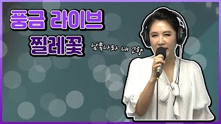 풍금 라이브 - 찔레꽃 심금을 울립니다요