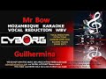 FUA - Mr Bow - Guilhermina MOZAMBIQUE KARAOKE VR WBV