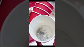 自带茶叶的杯子 | 乱买开箱 #shorts #chinesetea #instanttea