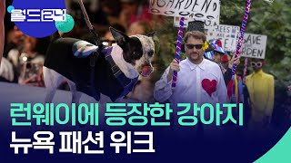 사회와 함께 변화하는 패션 위크 [오늘 한 컷] / KBS  2024.09.11.