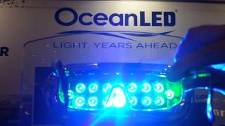 OceanLED Amphibian Xtreme \