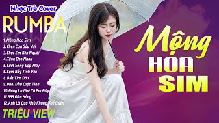 MỘNG HOA SIM , CHÉN CẠN SẦU VƠI - LK Nhạc Trẻ Rumba 8x 9x Hót TikTok - ALBUM RUMBA XUẤT SẮC